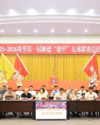 全民足球激活城市经济，第一届顺德“德甲”联赛交出答卷