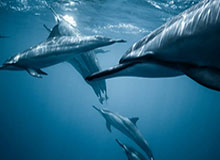 2026英超青年杯落幕，中英青少年足球交流迈上新台阶